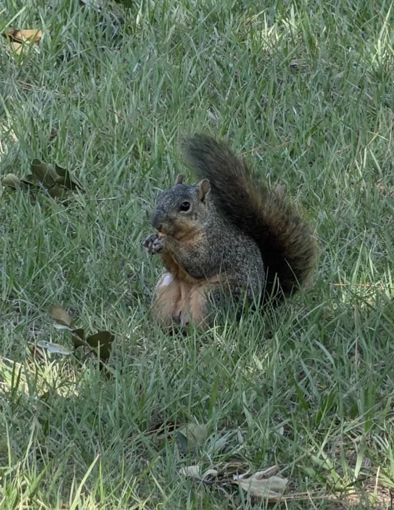 TammyD image