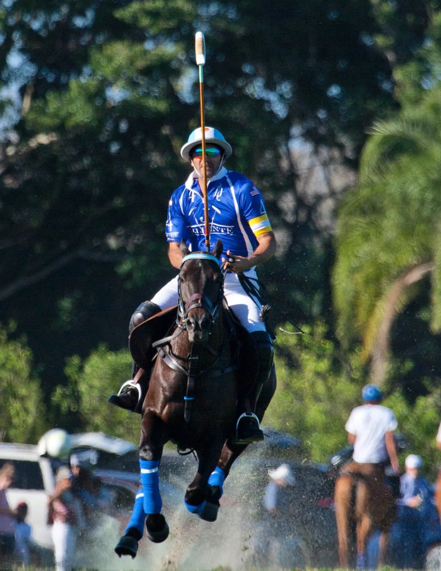 Chiarofoto image
