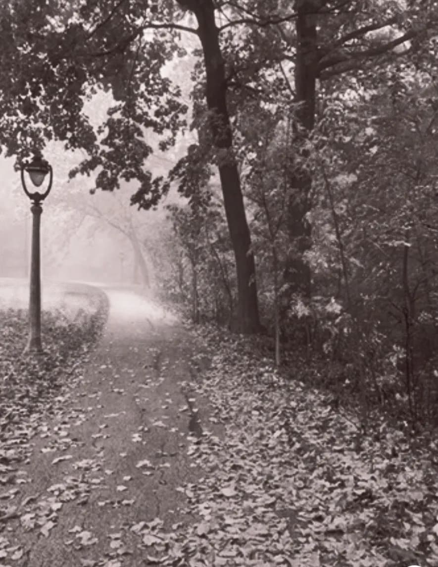 Tyrone Howard image
