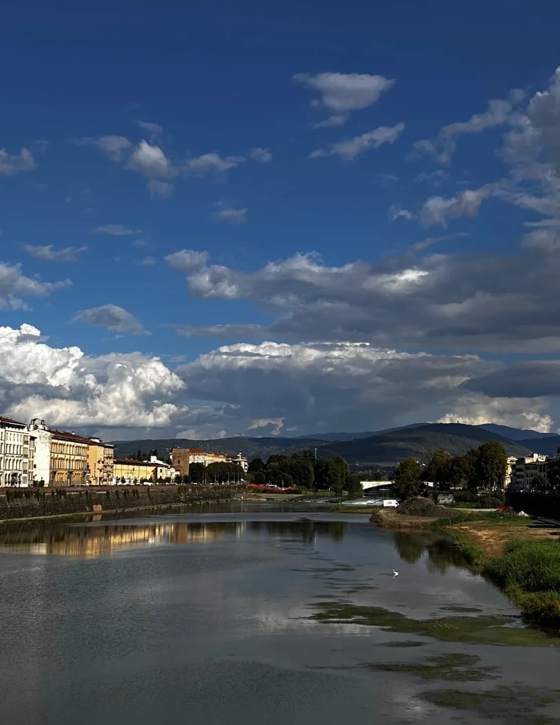 Kipvan image
