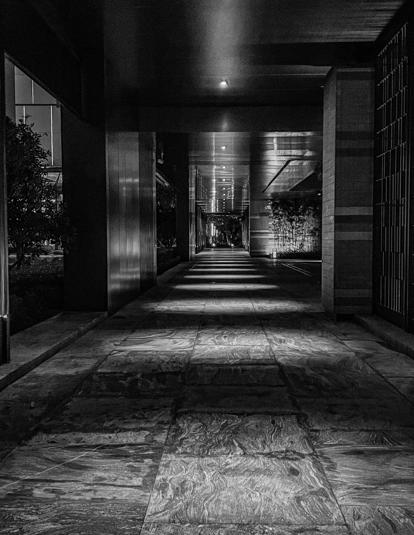 LSPhotography image