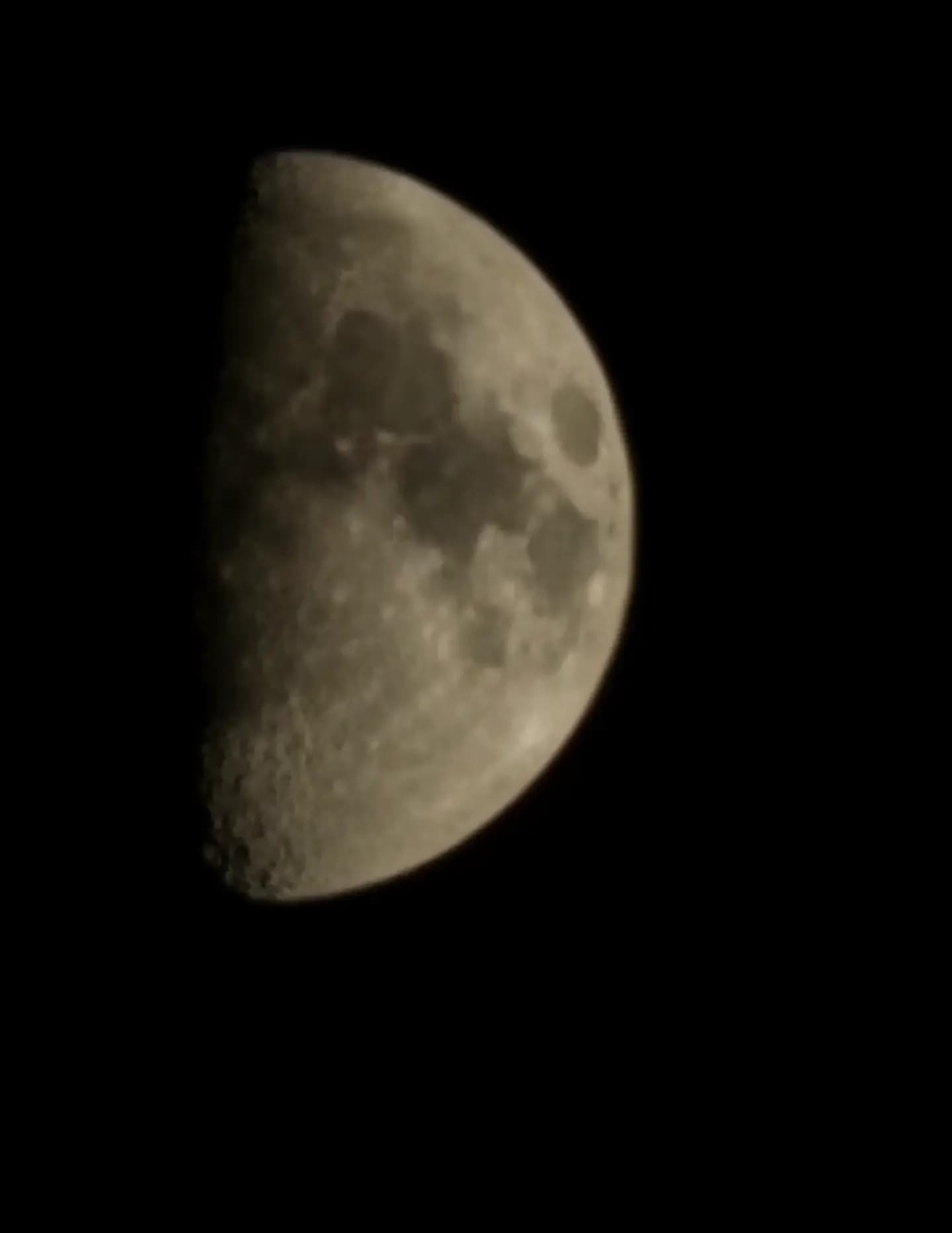 Fry6 Mystery Photographer image