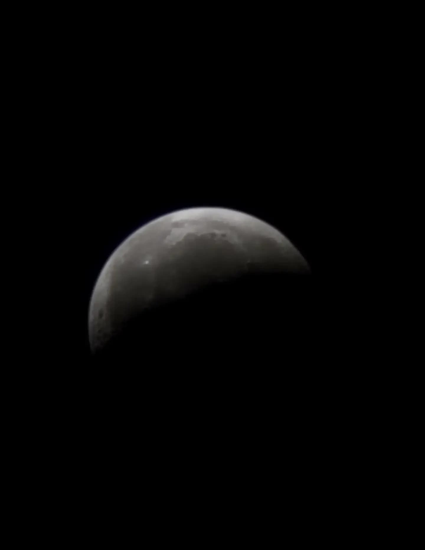 Fry6 Mystery Photographer image