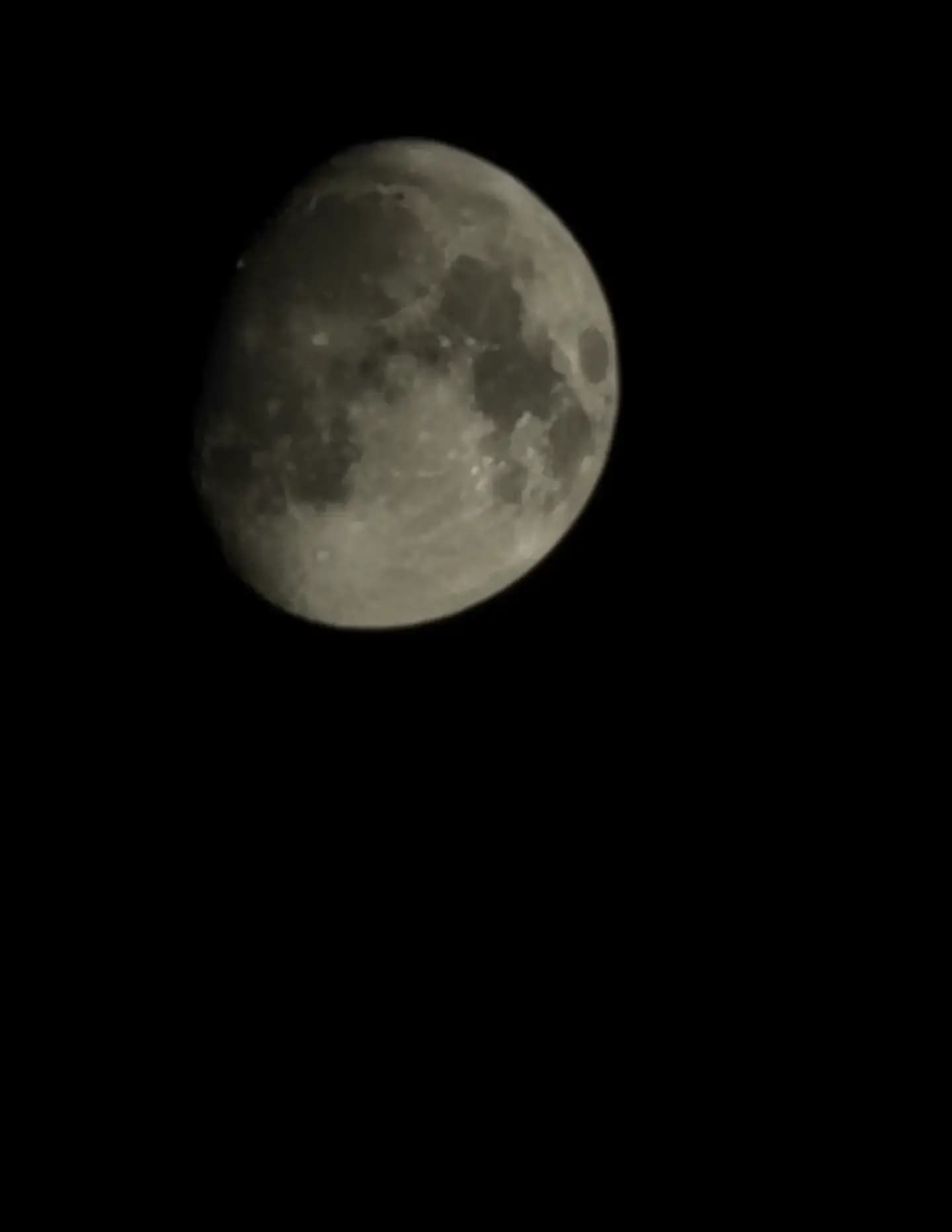 Fry6 Mystery Photographer image