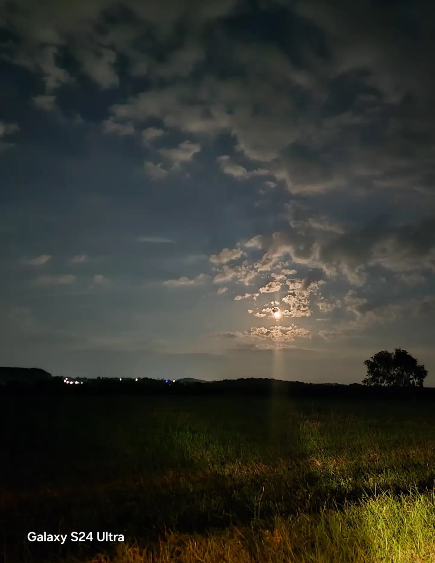 Fry6 Mystery Photographer image