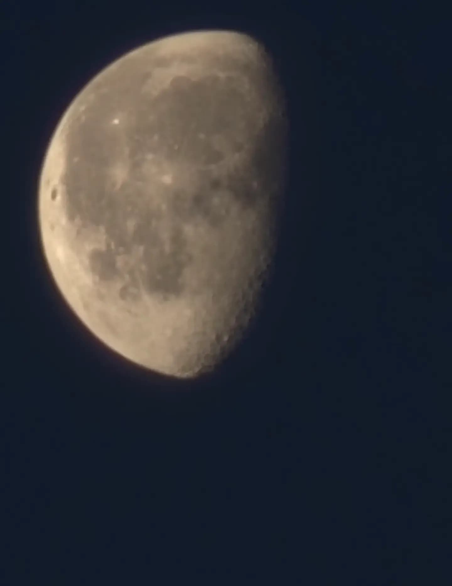 Fry6 Mystery Photographer image