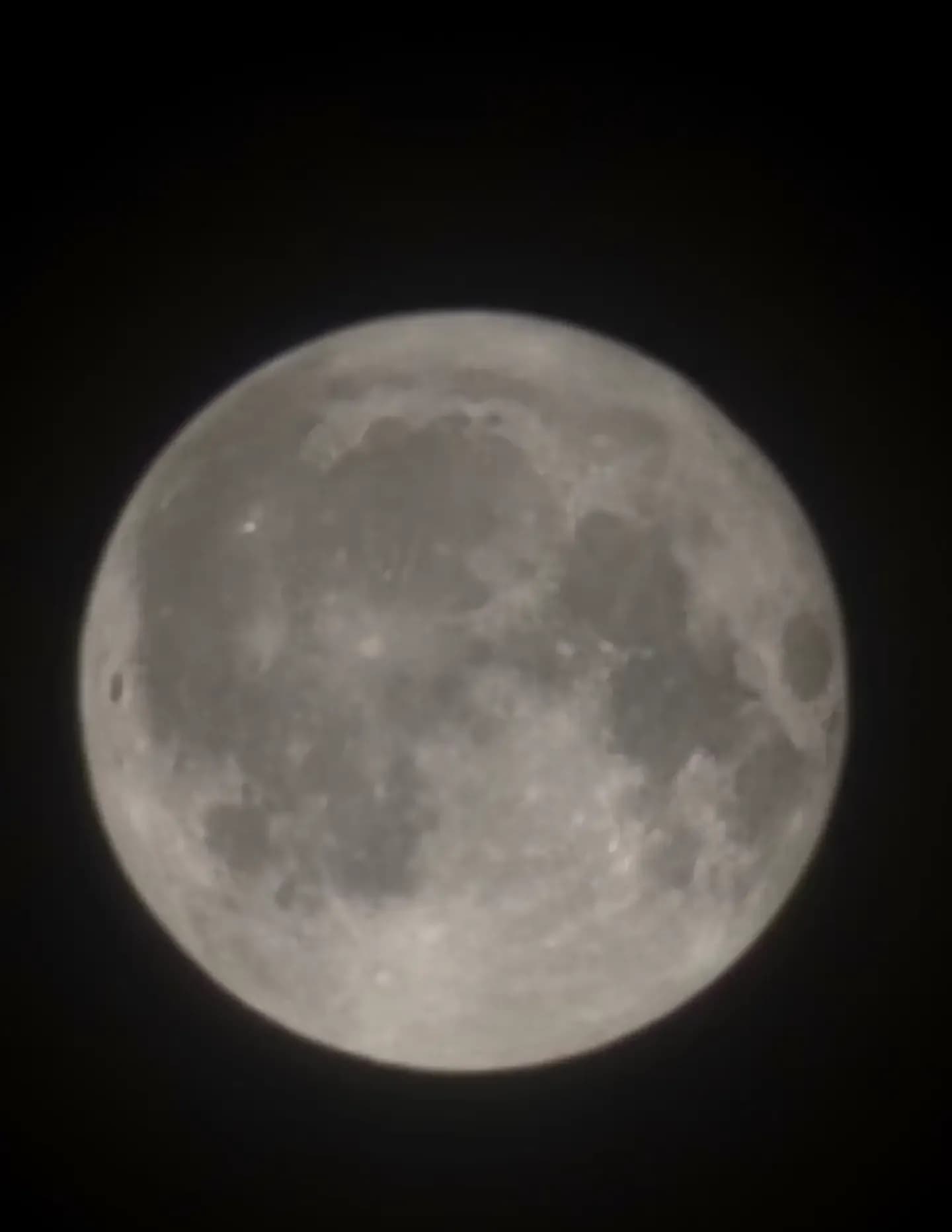 Fry6 Mystery Photographer image