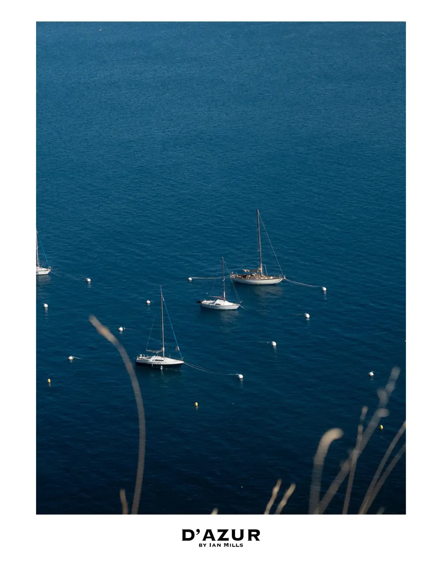 Ian Mills image