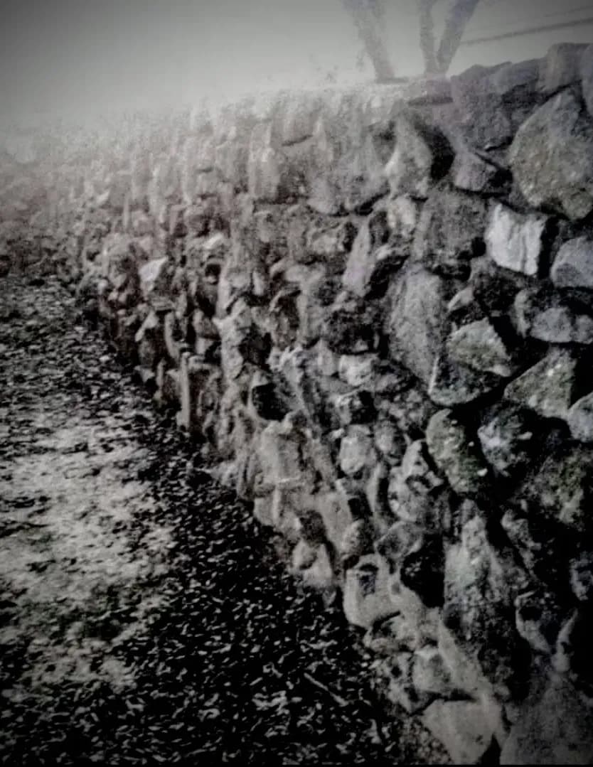 Cambron image