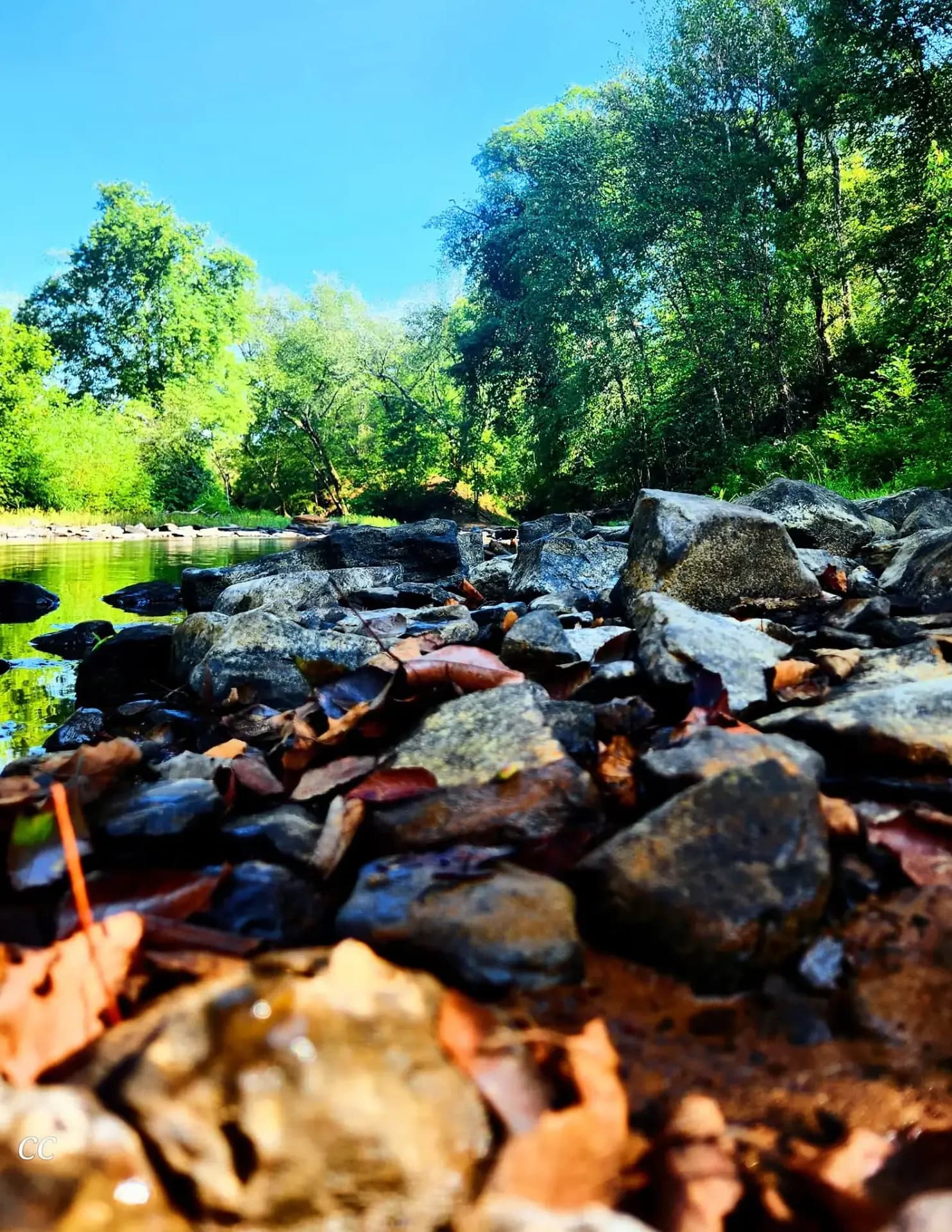 Cambron image