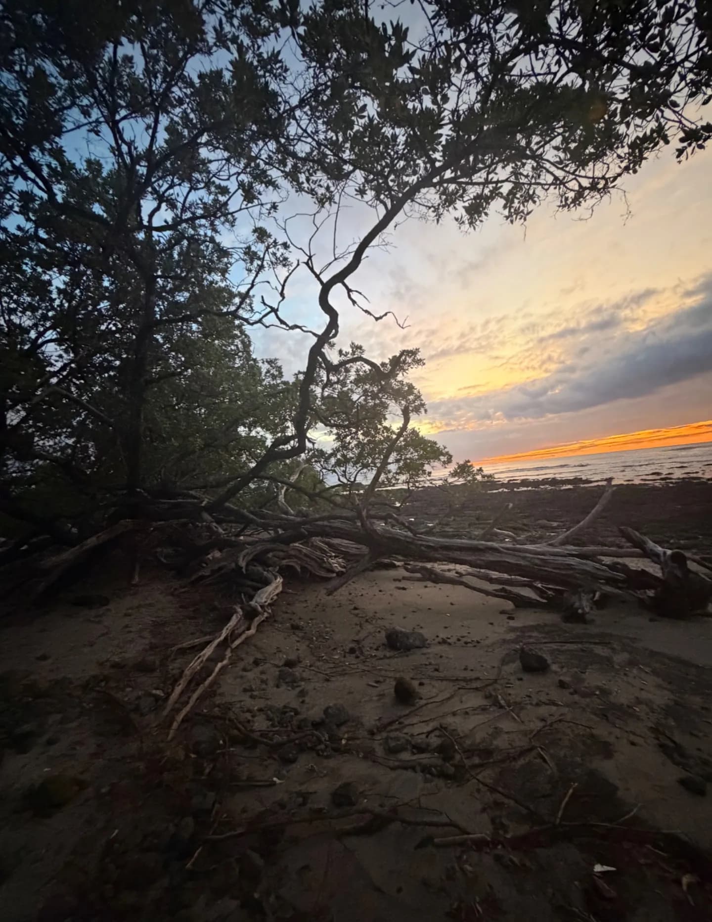 Adriii image