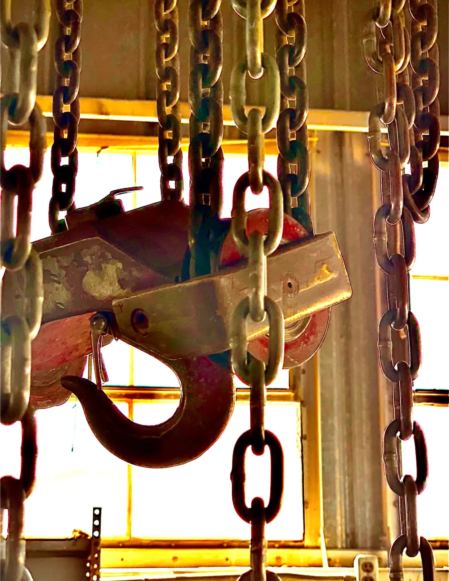ZooYorker.3 image