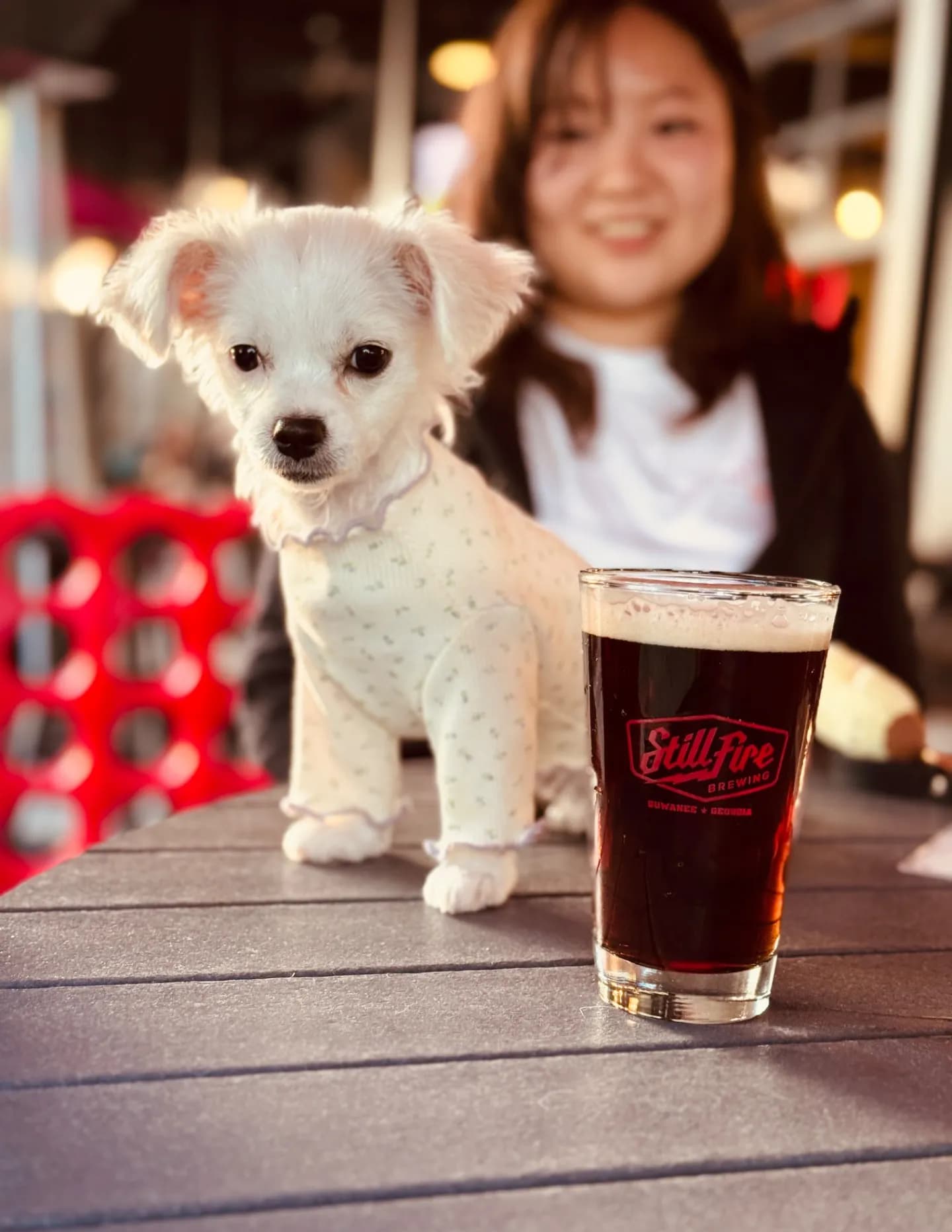Quick Pro Pho image