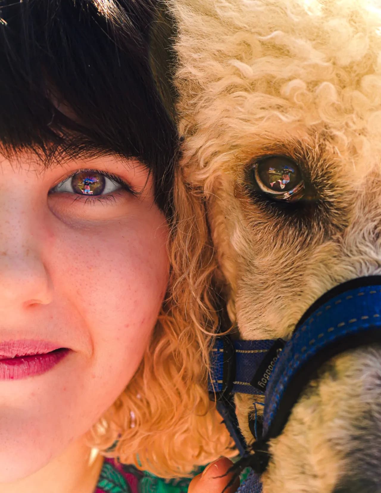 Wiegmann Frames Photography image