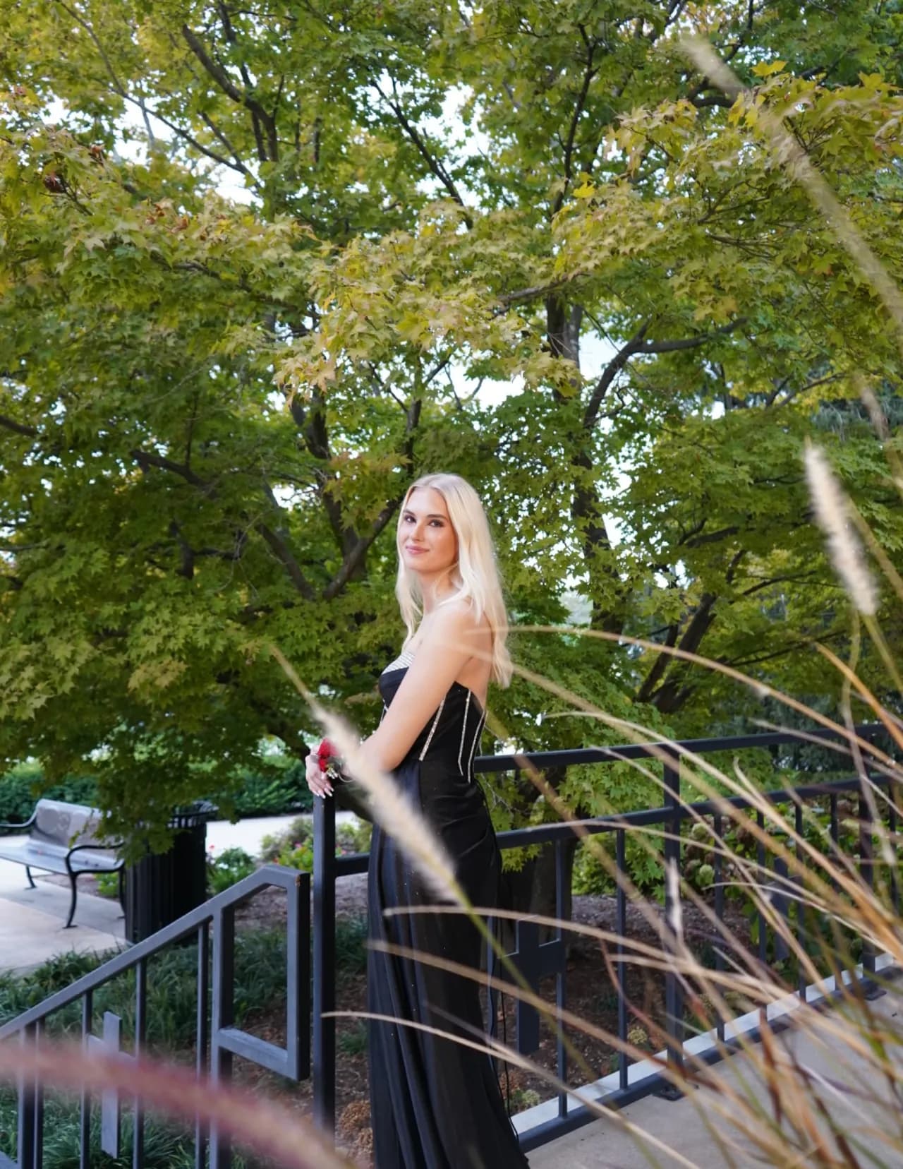 Maddyx b image