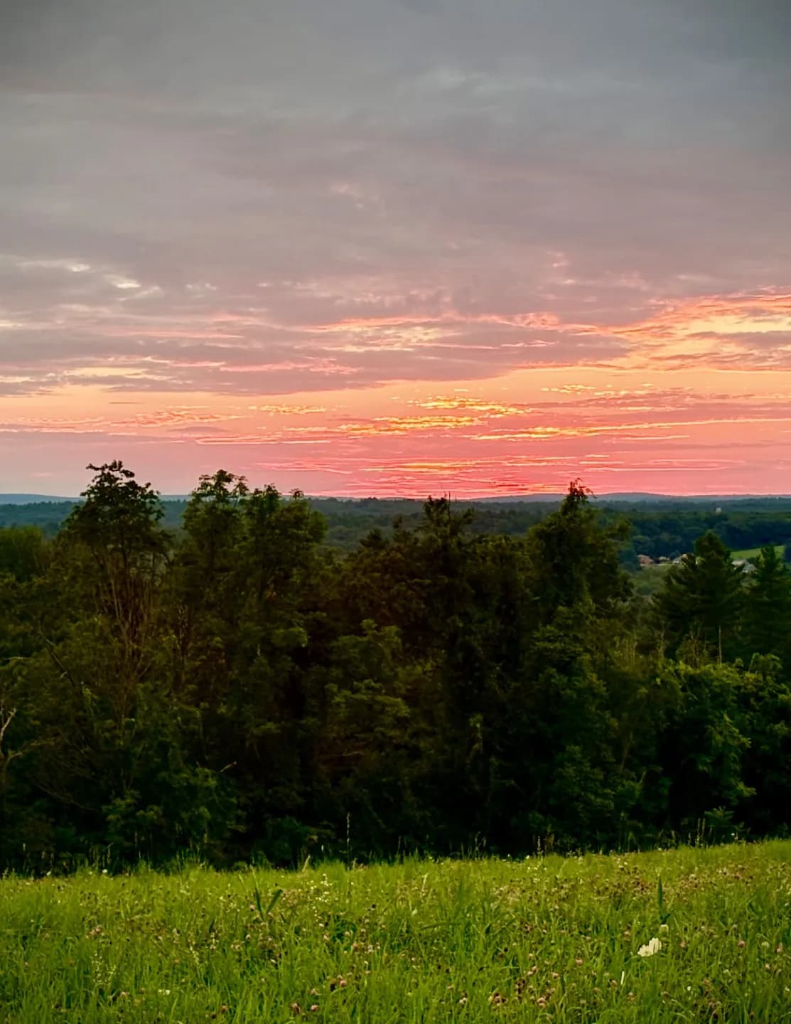 Starlite Photography image