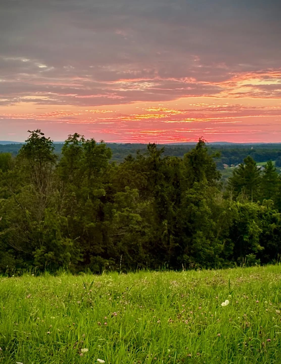 Starlite Photography image