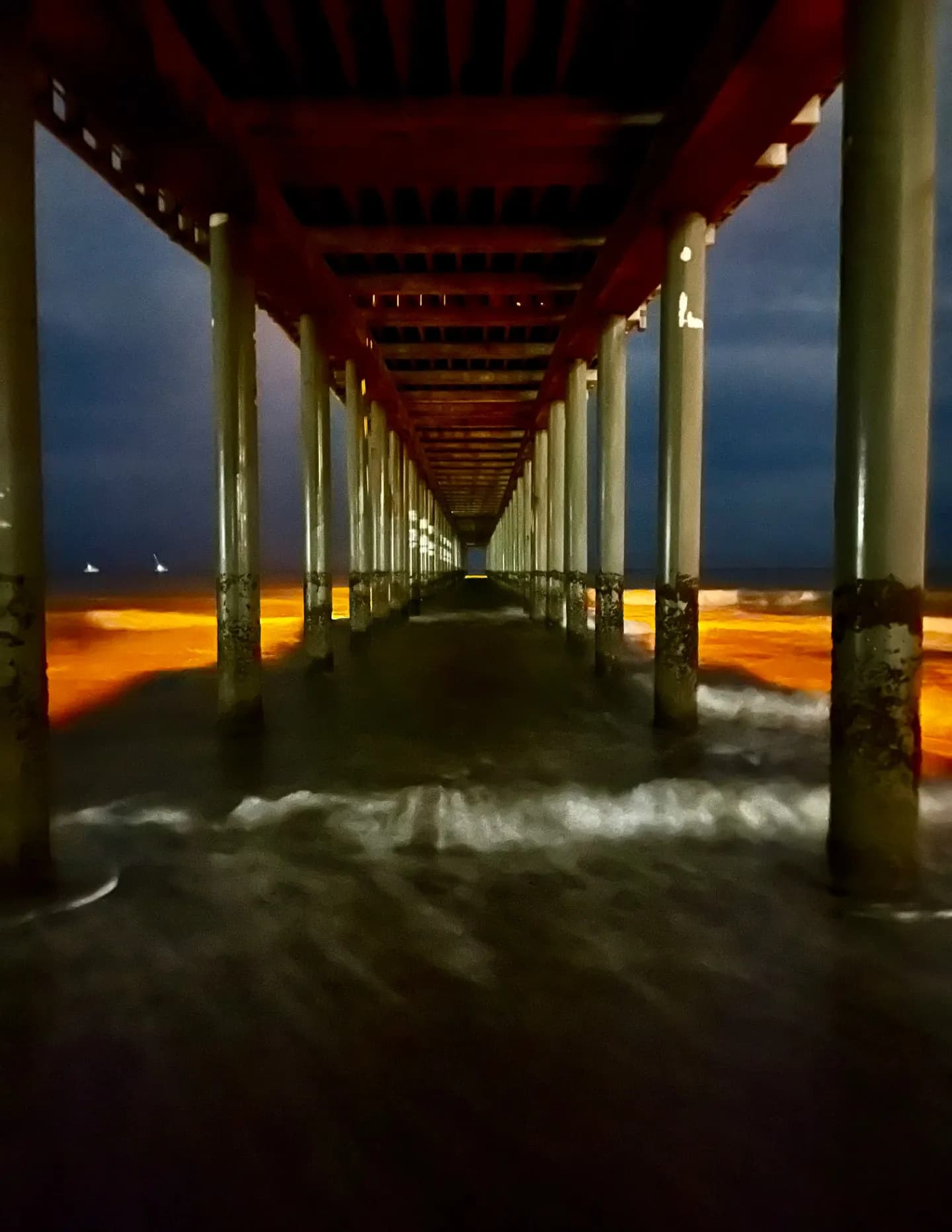 Palmettolensphotography image