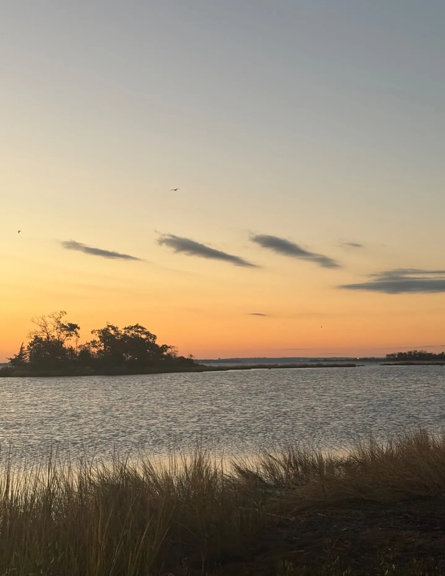 SunnyDawnnMoon image