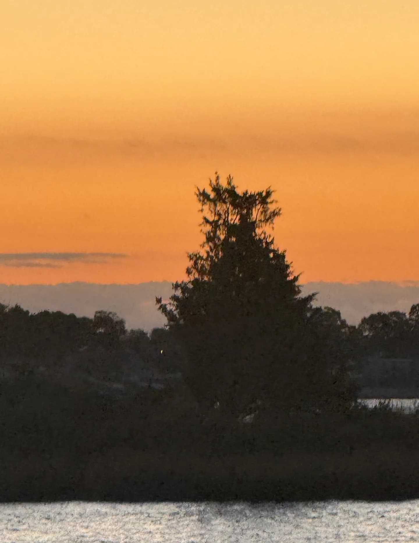 SunnyDawnnMoon image