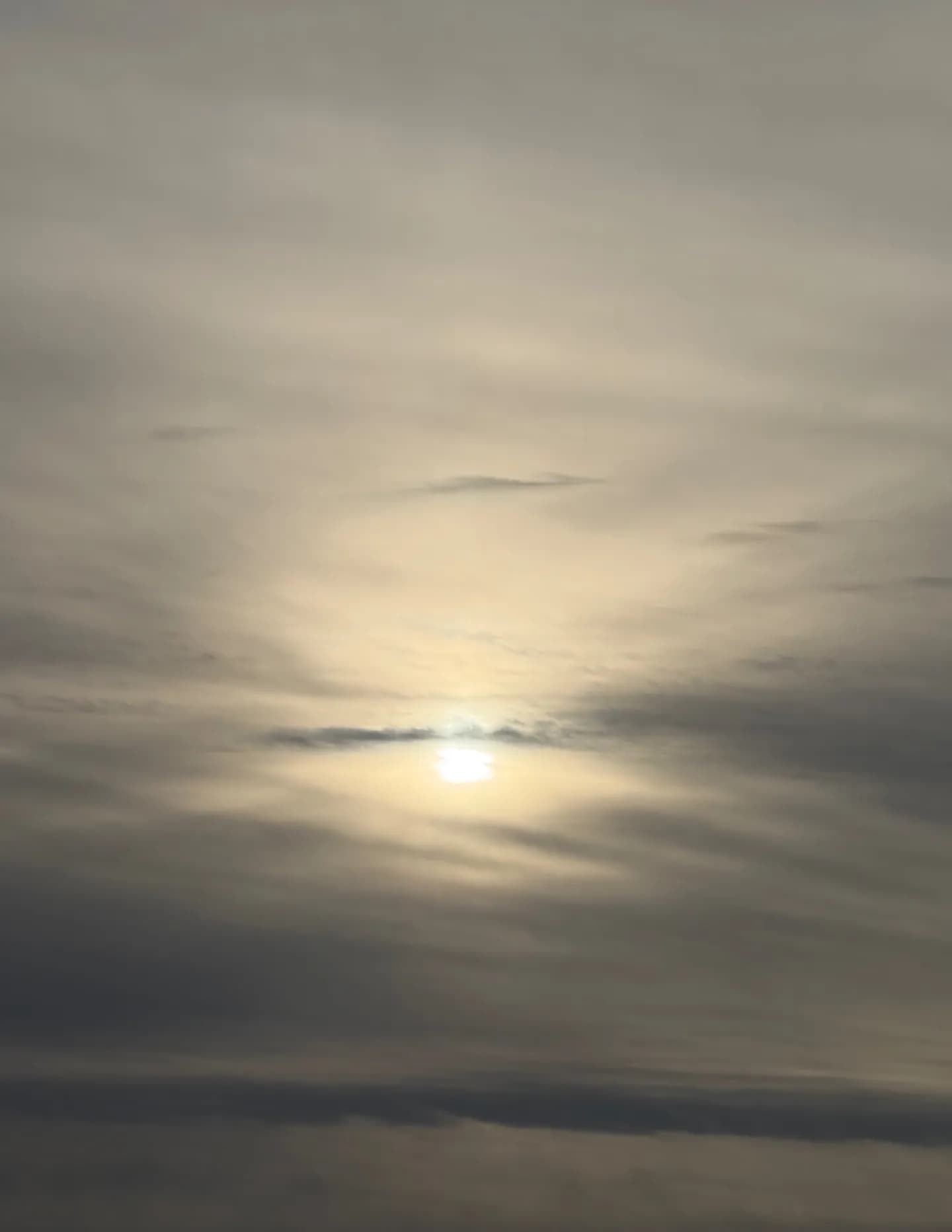 SunnyDawnnMoon image