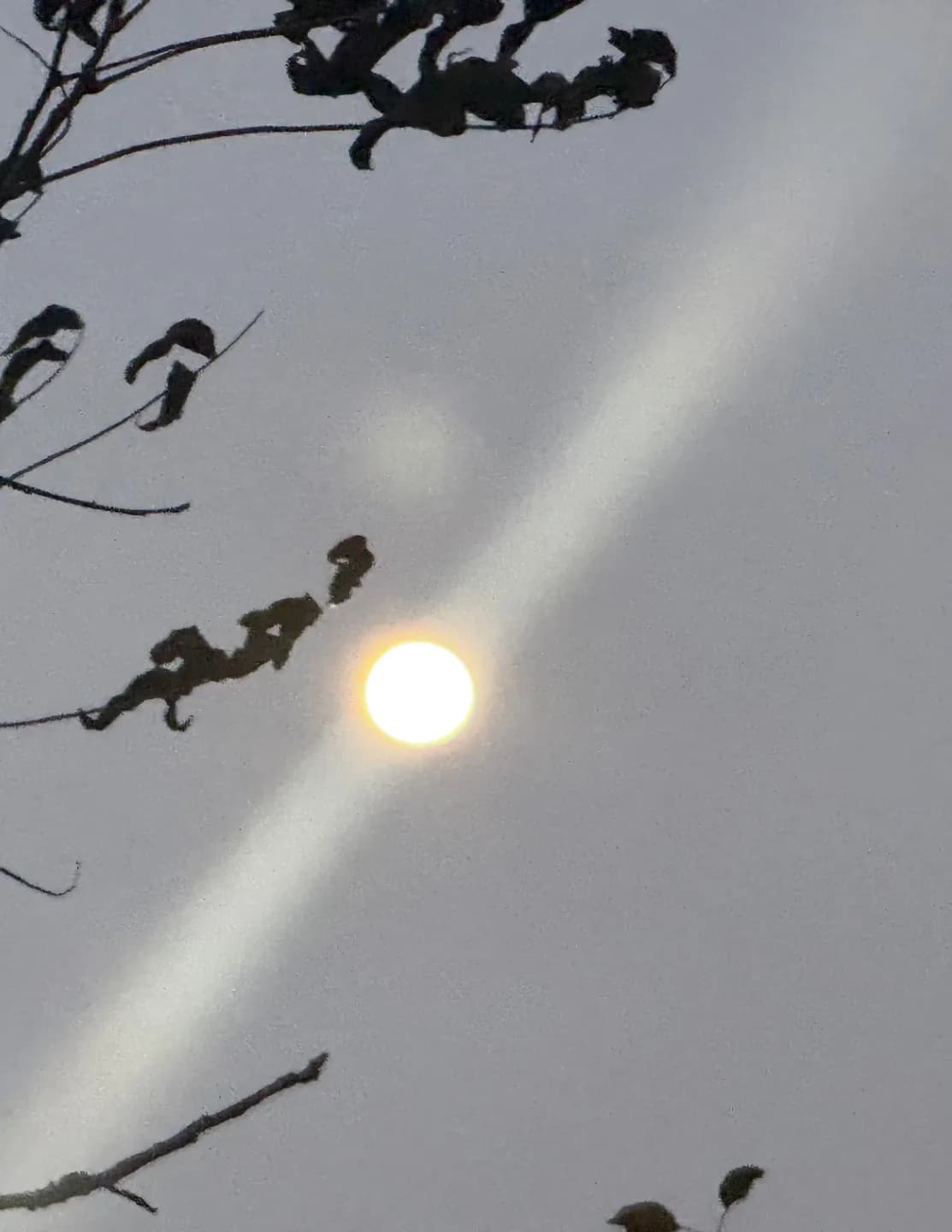 SunnyDawnnMoon image