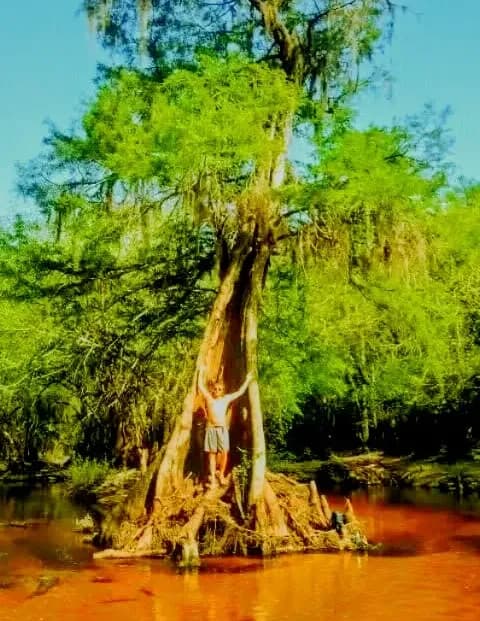 Stubbs image
