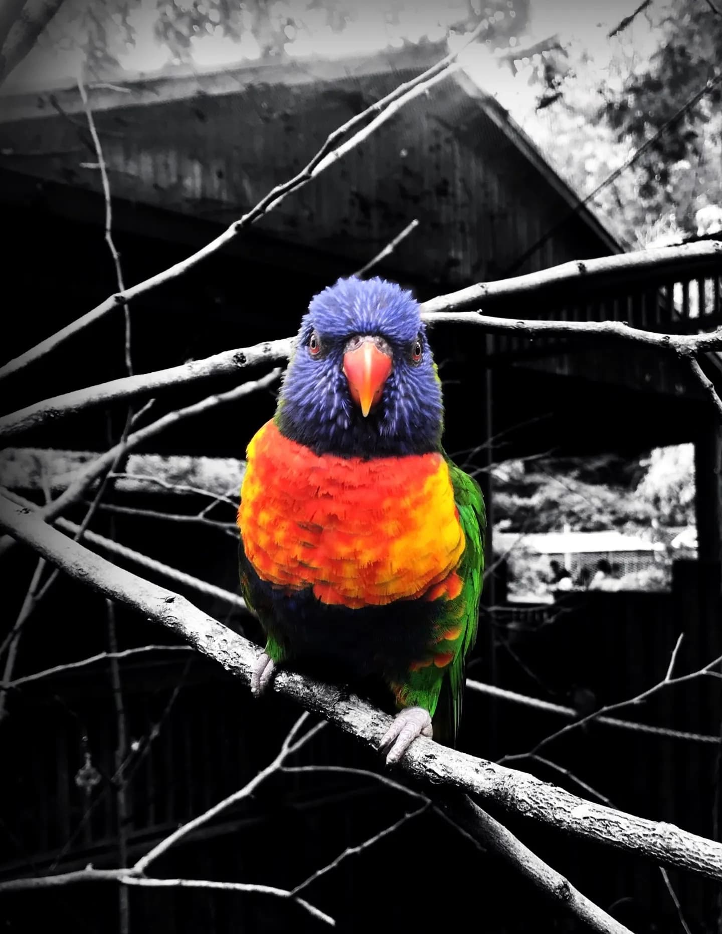 Farressphotography image