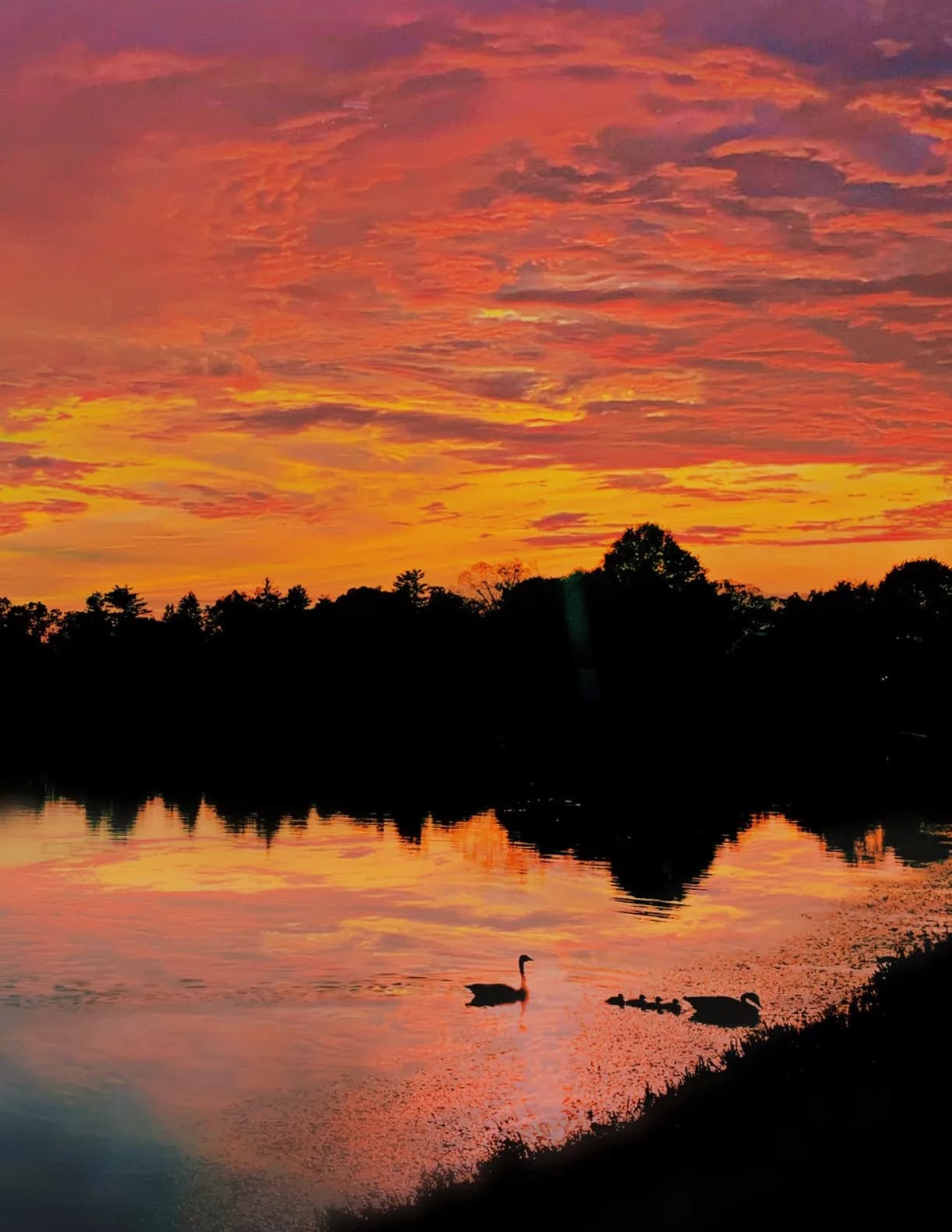 Farressphotography image
