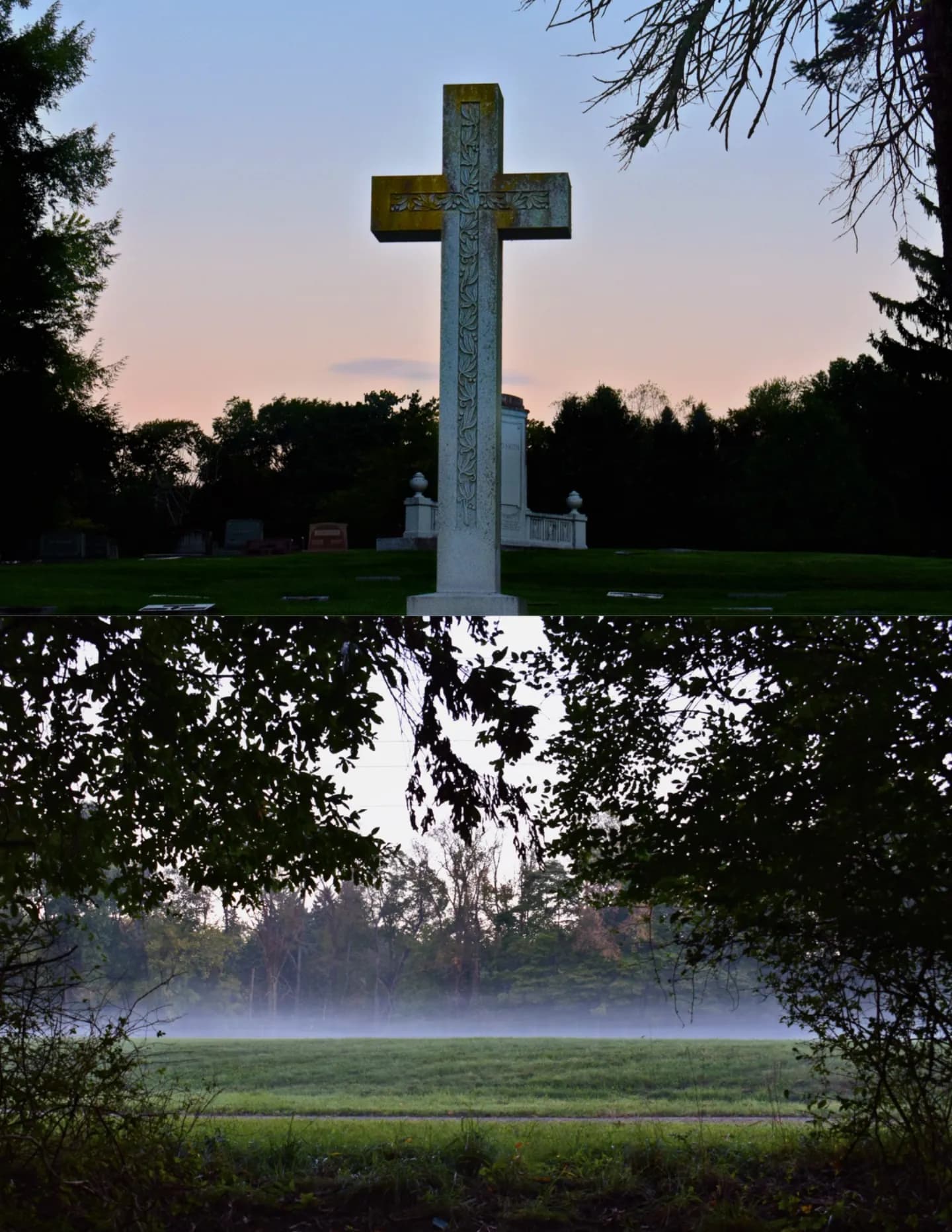 Farressphotography image