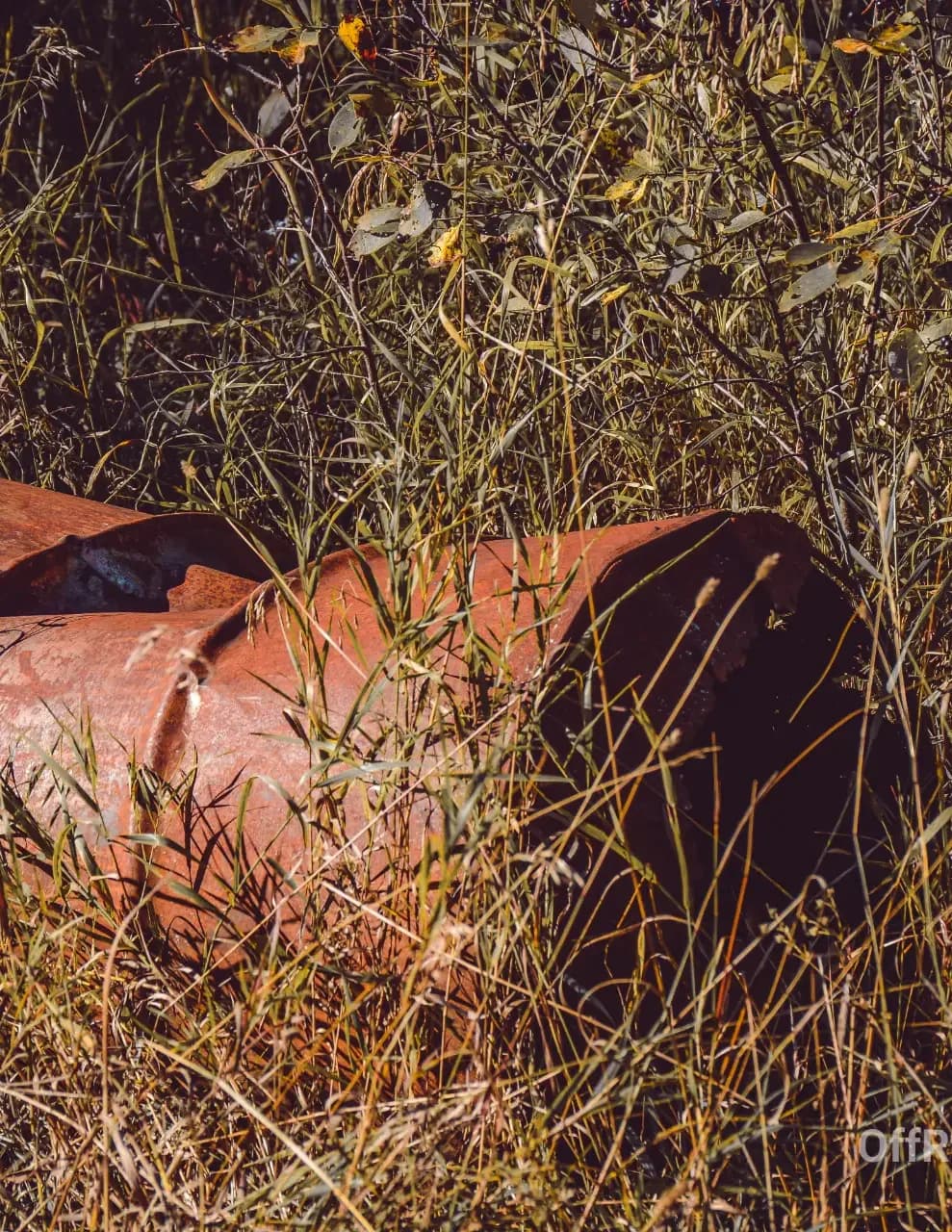 OffRoadPhotographyMB image