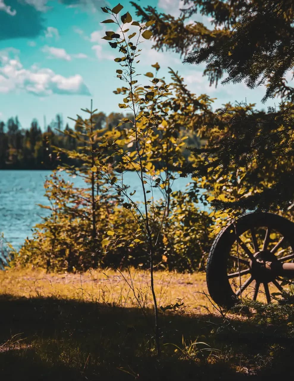 OffRoadPhotographyMB image