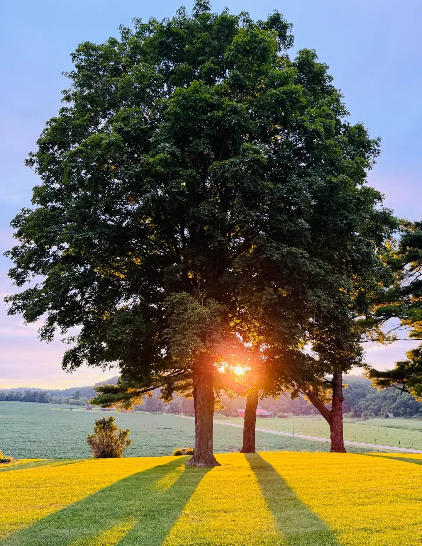 Pautler Photography image
