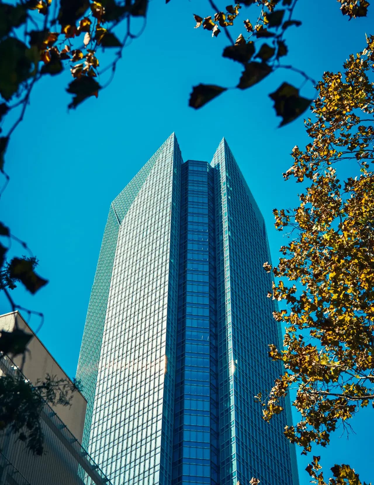 Pautler Photography image