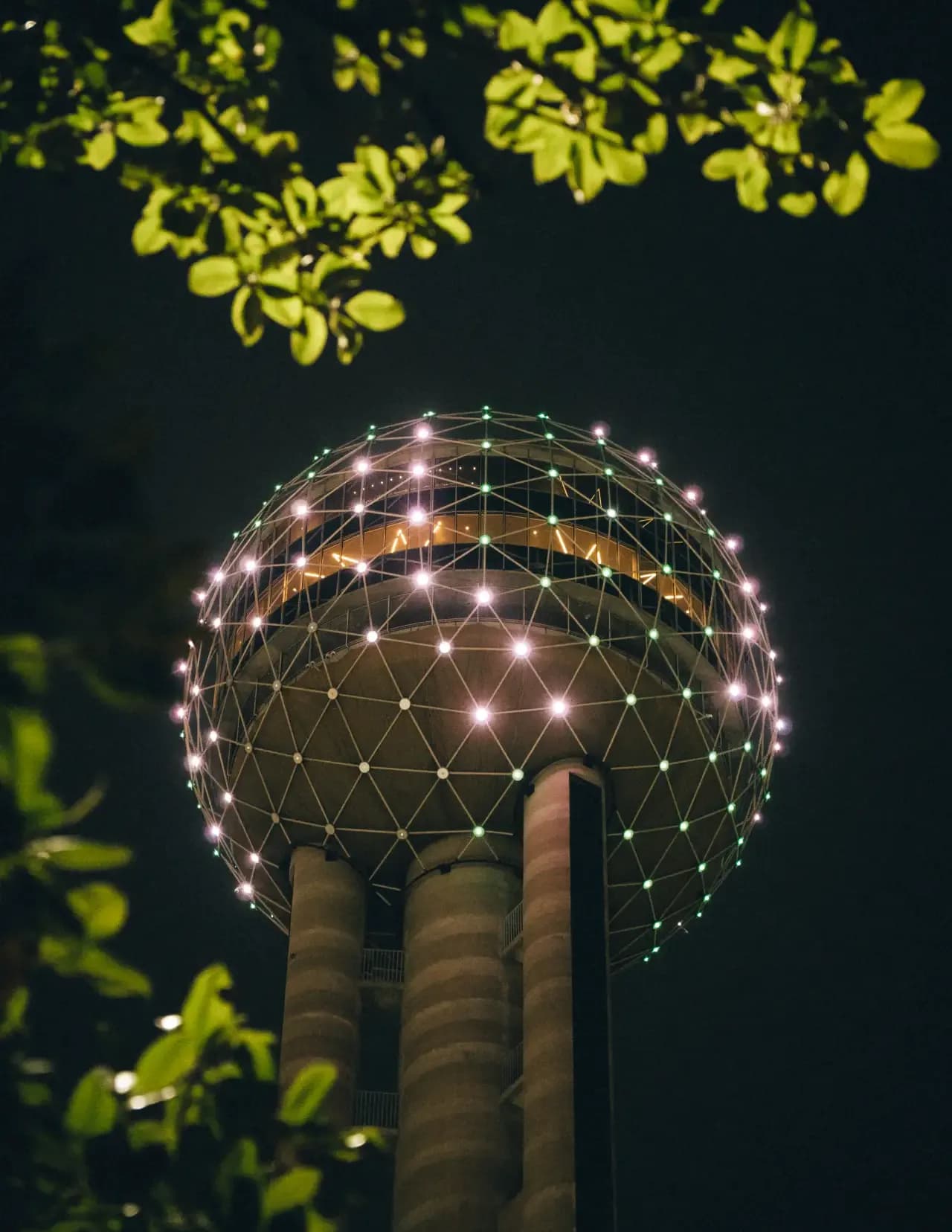 Pautler Photography image