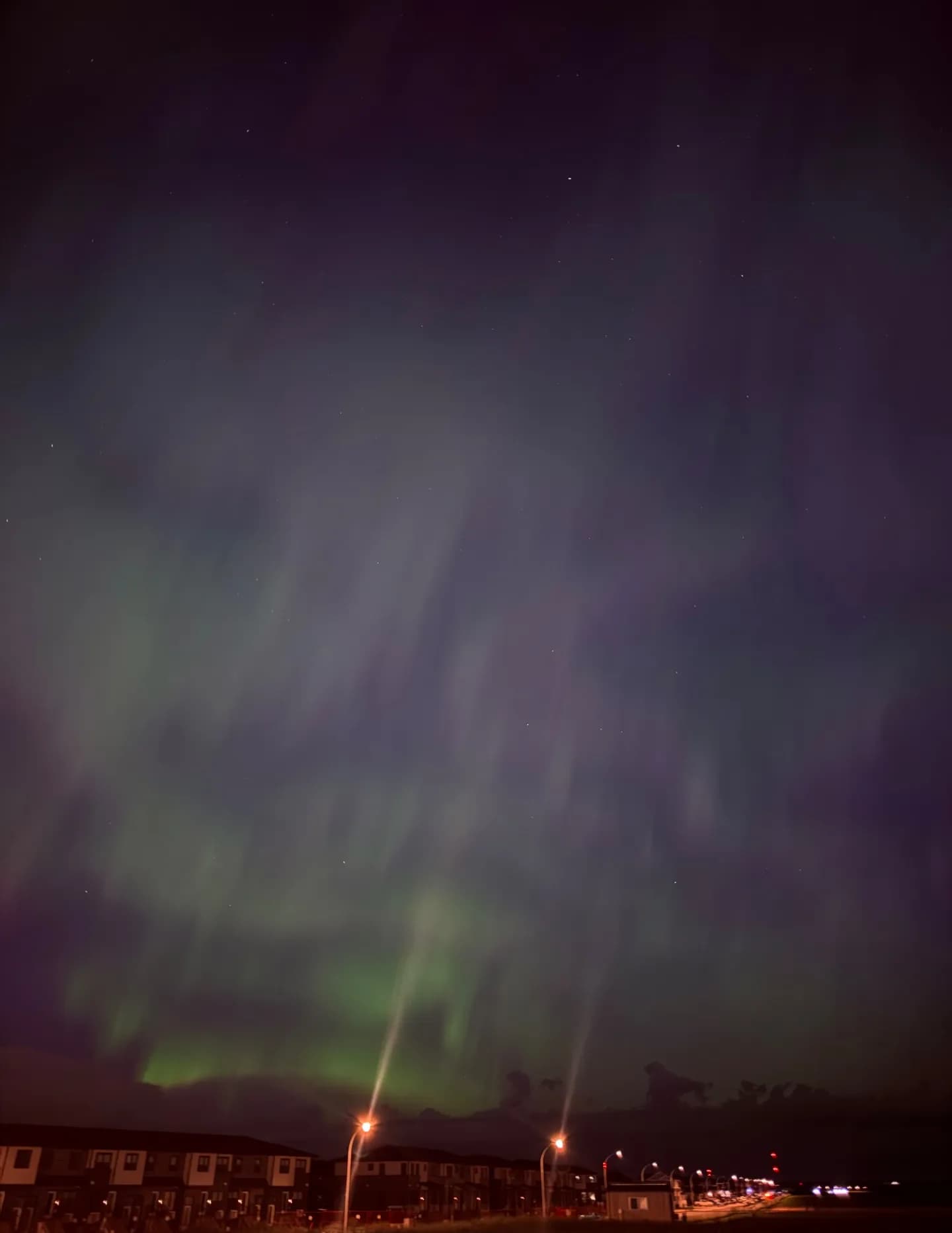 mannnu_03 image