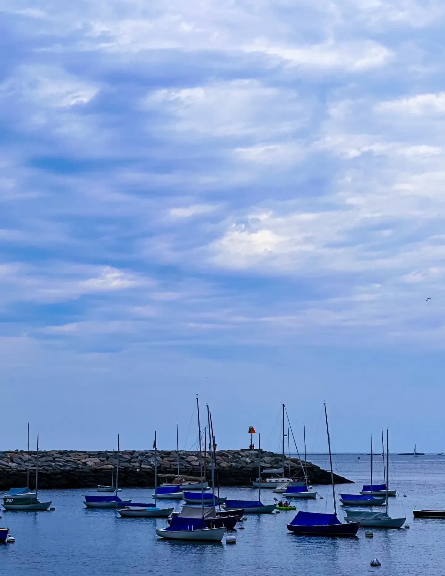 ECJ Photography and Design image