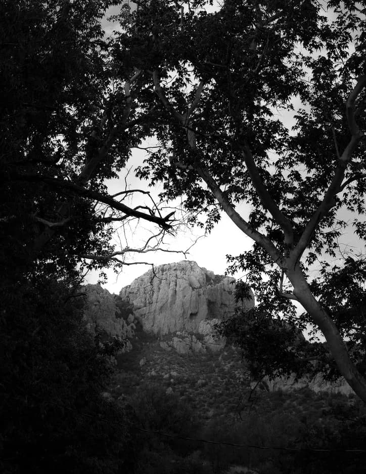 Jaden Silvas image