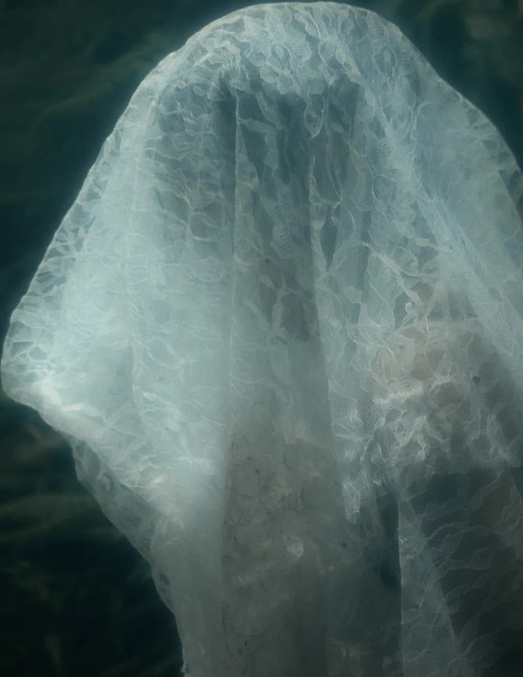 Theodore Hoff image