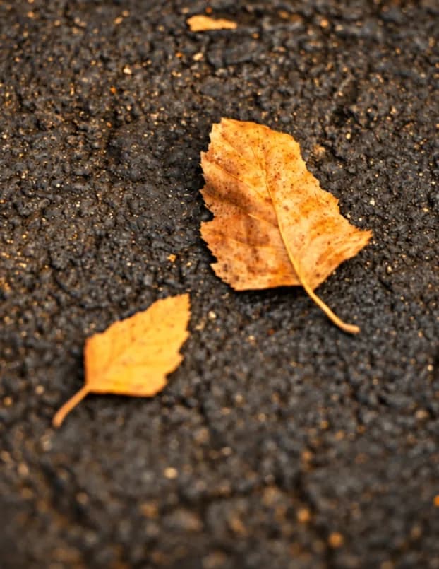 Creativecaptures111 image