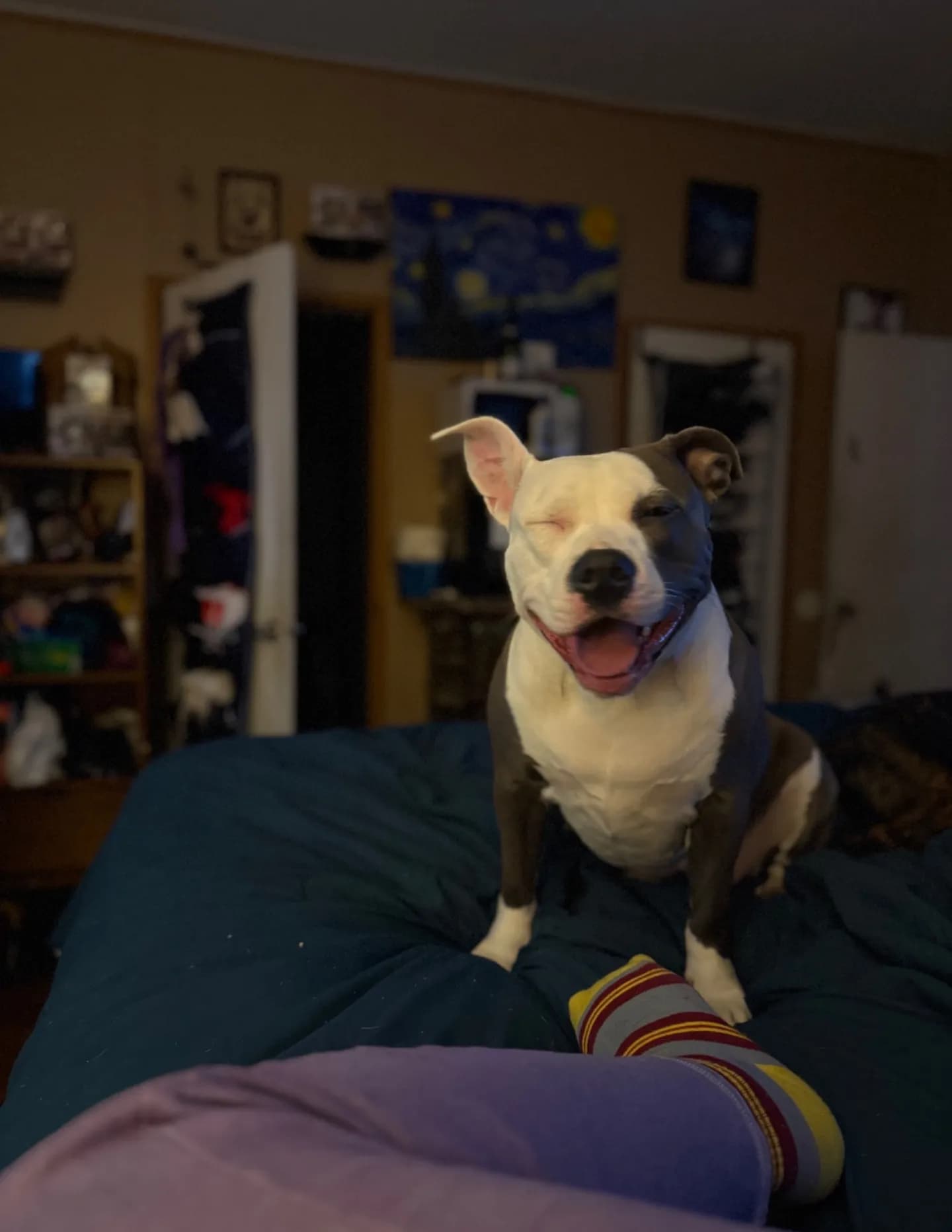 MrzBTowns image