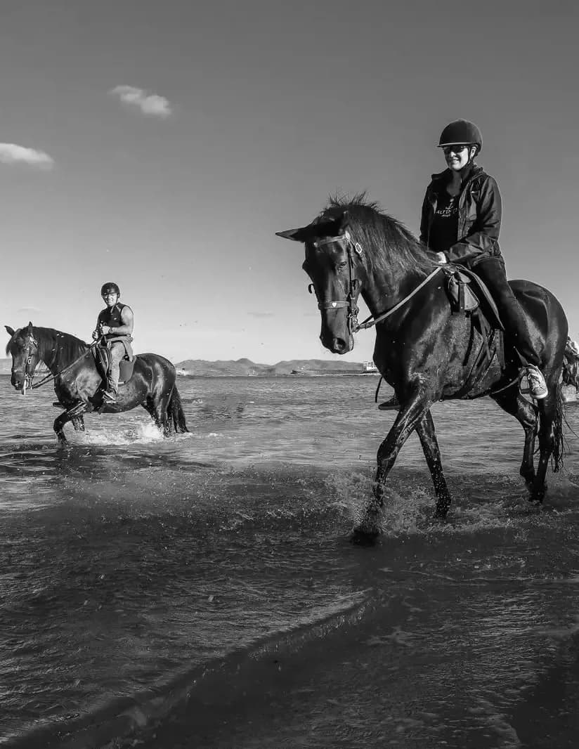 competitor kAnaq