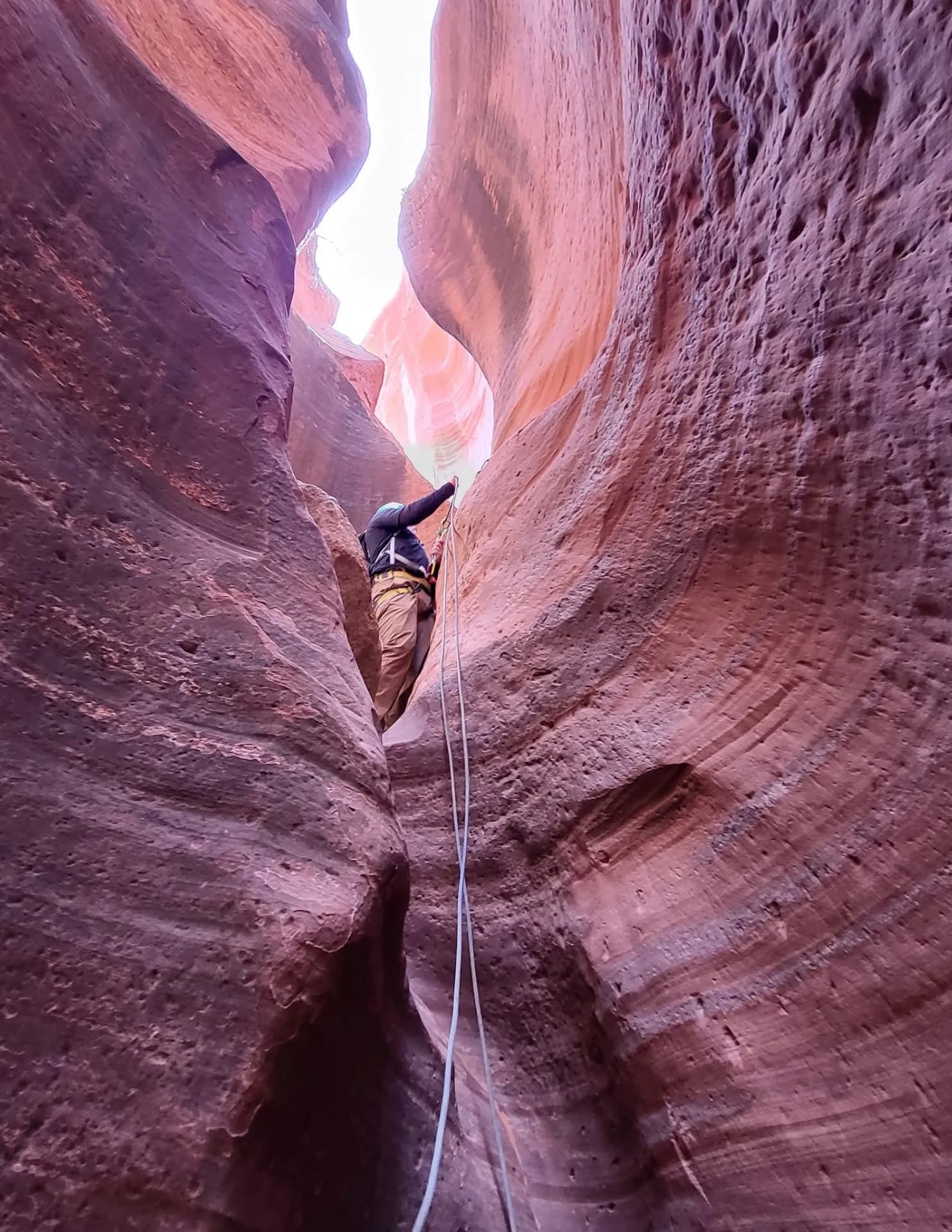 Phil cook image