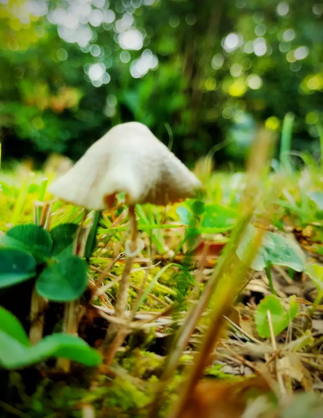 SJRphotography image