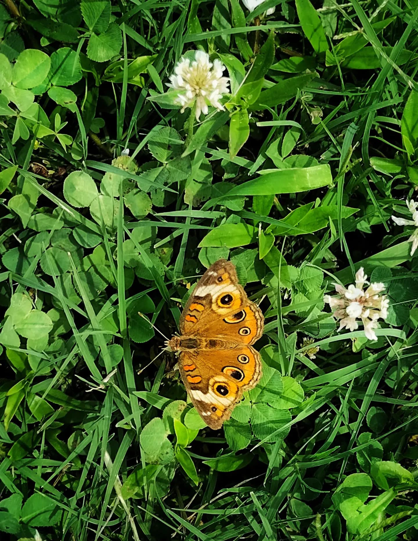 SJRphotography image