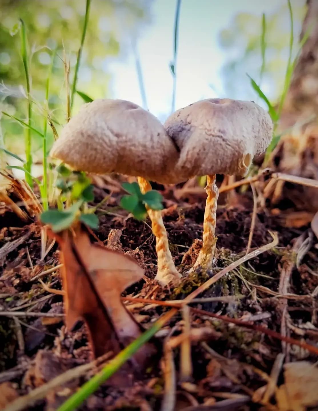 SJRphotography image