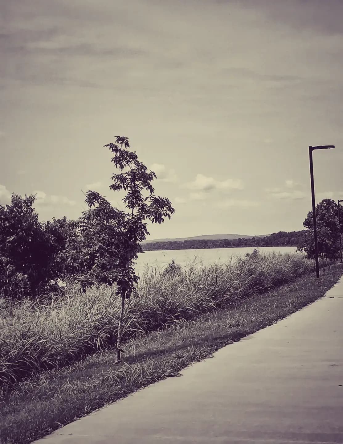 SJRphotography image