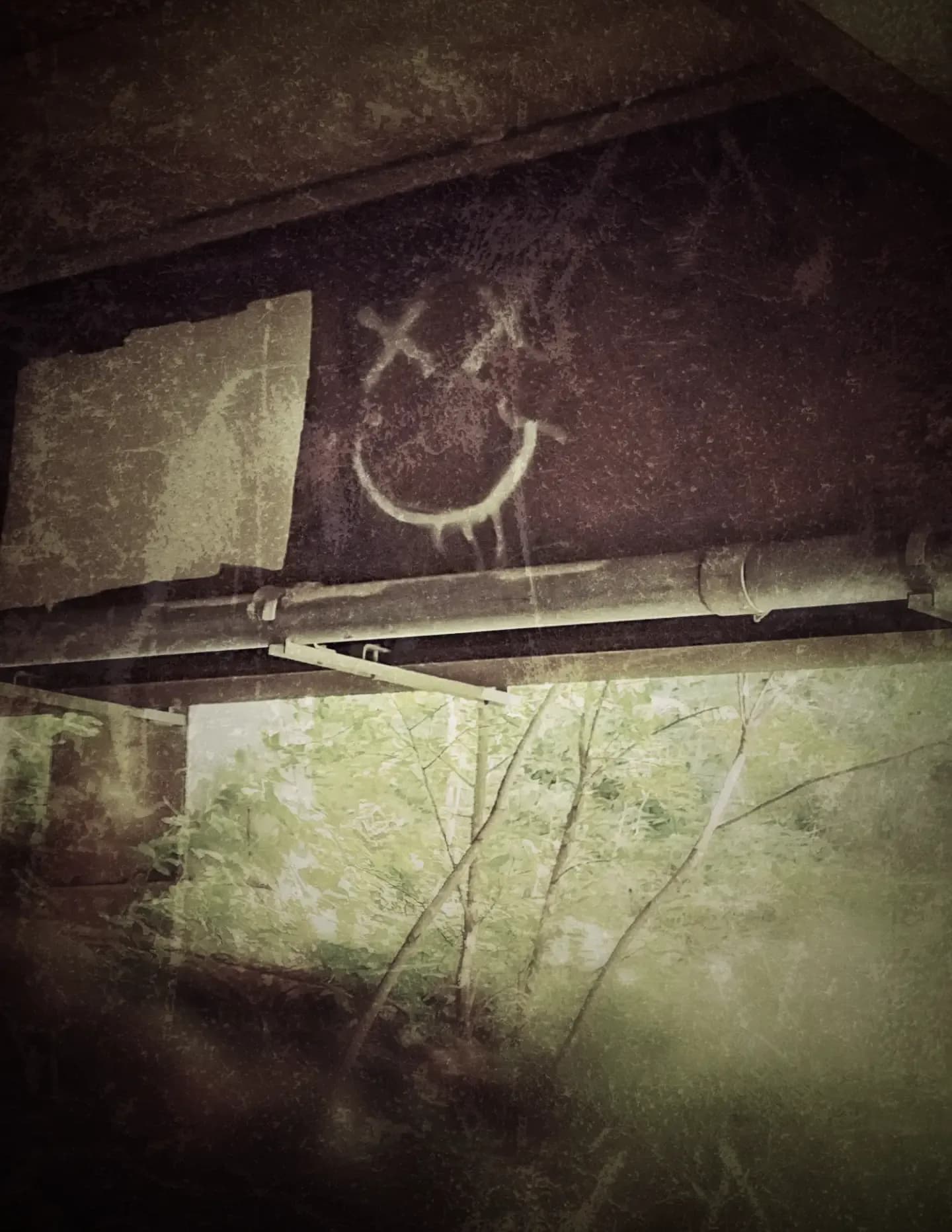 SJRphotography image
