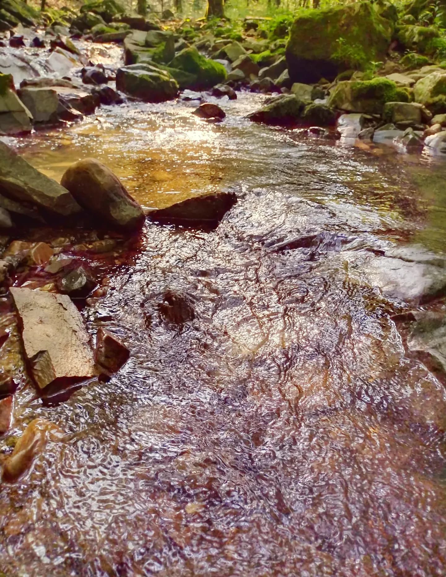 SJRphotography image