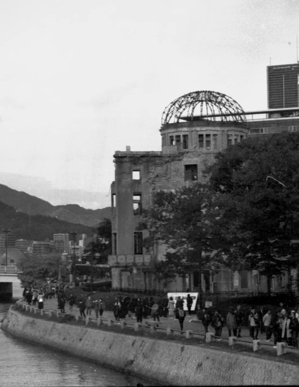 TC98 image